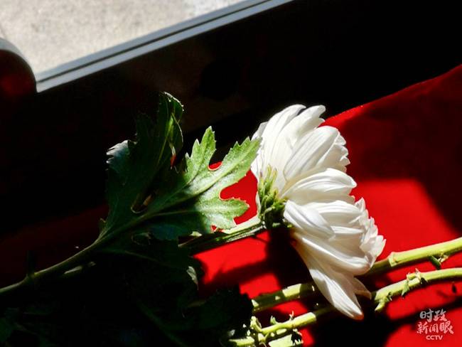 时政新闻眼丨今天如何纪念我们的胜利日？习近平这样说